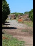 06109 ostia - regio iv - via di cartilio poplicola - blick ri norden.jpg